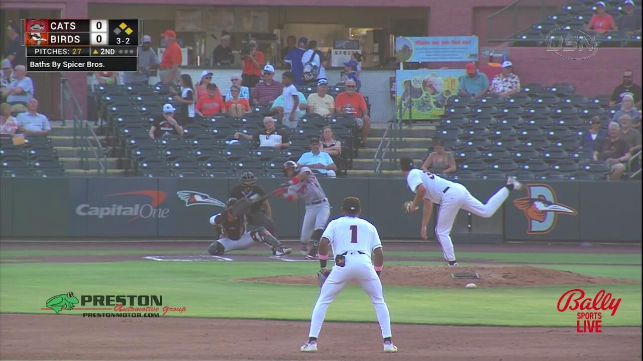 Highlights: Shorebirds' Comeback Falls Short against Mudcats in 5-4 Loss